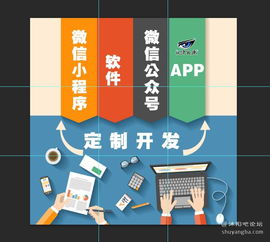 沭陽論壇攜手專業軟件開發服務商，開啟數字化商務服務新篇章