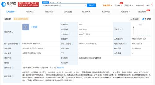 軟件開發(fā)與技術服務的雙輪驅動 數(shù)字化轉型時代的核心引擎